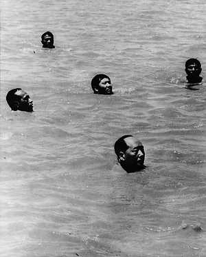 244806-300-373-scale